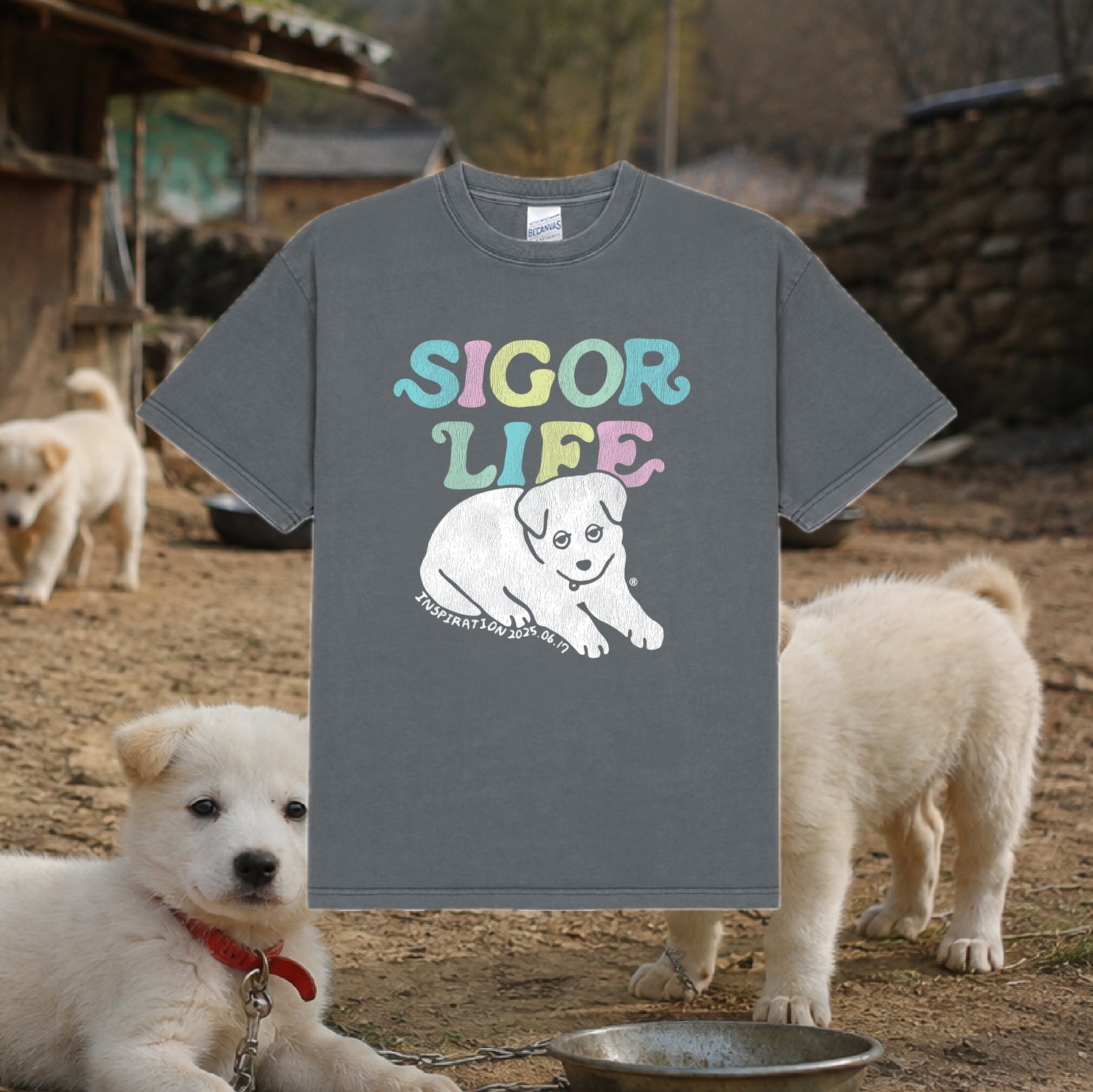 T-shirt France SigoLife "Le chien de la campagne coréenne"