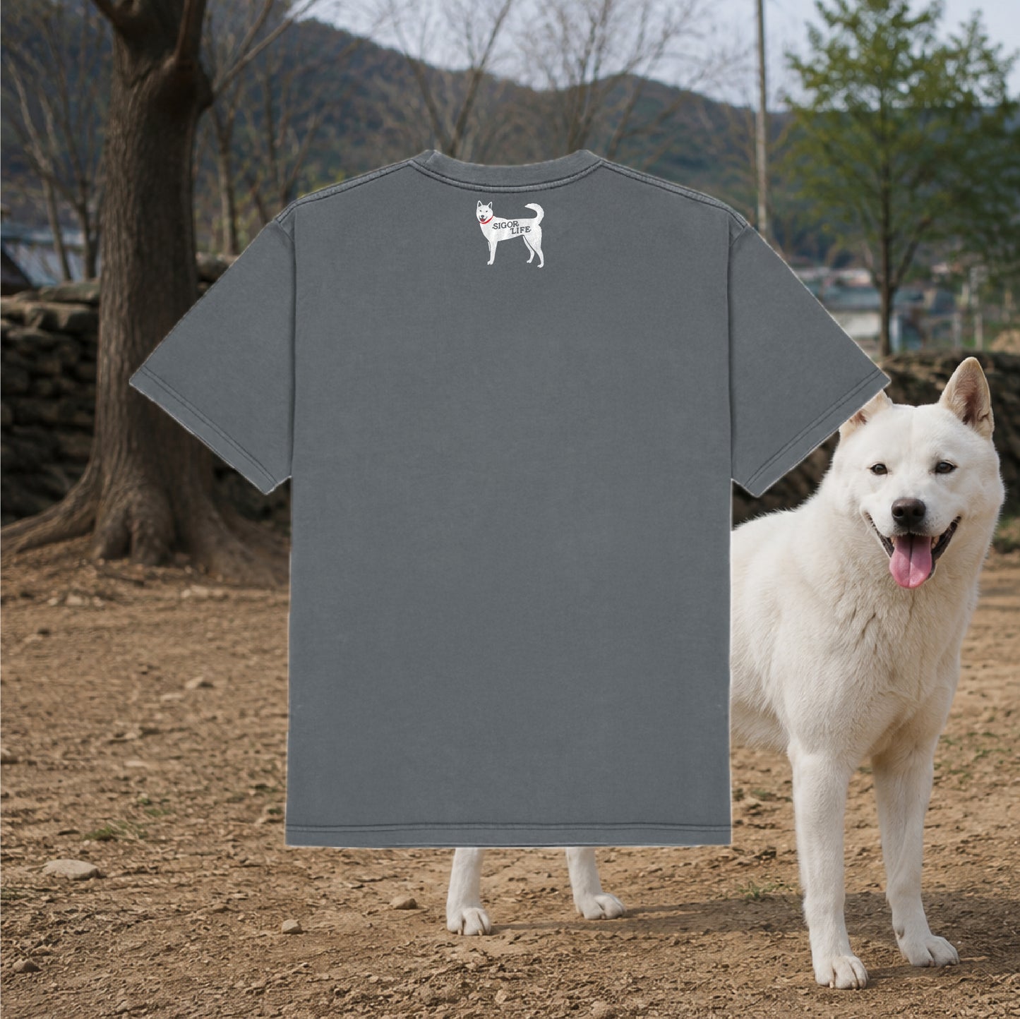 T-shirt France SigoLife "Le chien de la campagne coréenne"